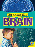 Brain