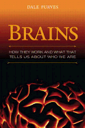 Brains: How They Seem to Work