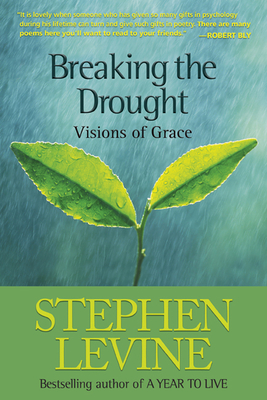 Breaking the Drought: Visions of Grace - Levine, Stephen