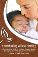 Breastfeeding Without Birthing: A Breastfeeding Guide for Mothers Through Adoption, Surrogacy, and Other Special Circumstances