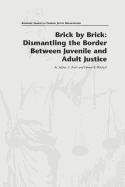 Brick by Brick: Dismantling the Border Between Juvenile and Adult Justice