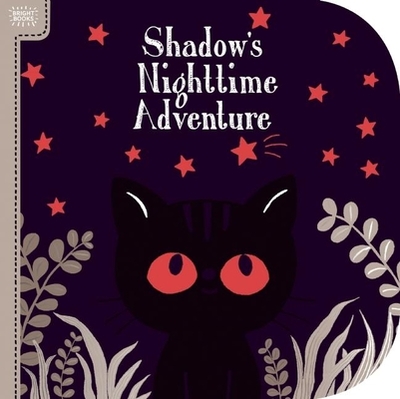 Bright Books: Shadow's Nighttime Adventure - Roth, Megan