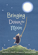 Bringing Down the Moon