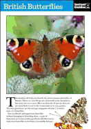 British Butterflies: The Instant Guide