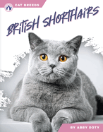 British Shorthairs