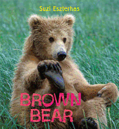 Brown Bear