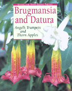 Brugmansia and Datura: Angel's Trumpets and Thorn Apples