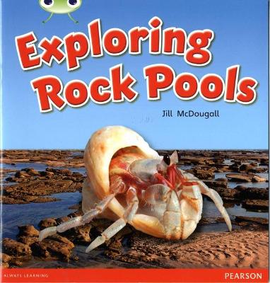 Bug Club Guided Non Fiction Year 1 Green C Exploring Rock Pools - McDougall, Jill