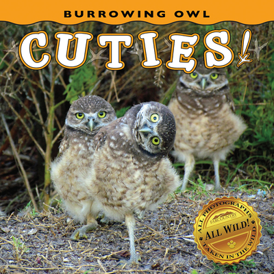 Burrowing Owl Cuties! - Farcountry Press