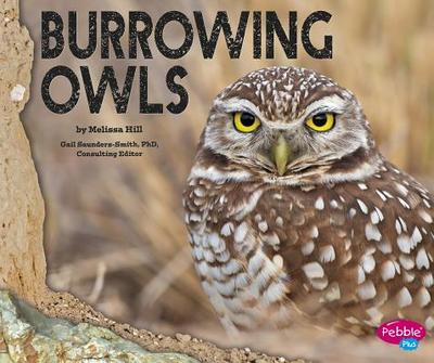 Burrowing Owls - Hill, Melissa