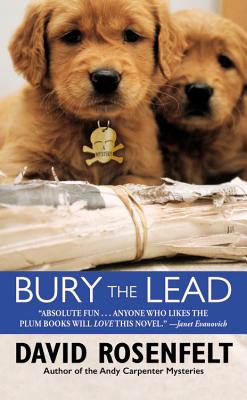 Bury the Lead - Rosenfelt, David