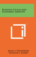 Business Cycles And Economic Growth