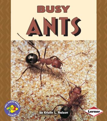 Busy Ants - Nelson, Kristin L