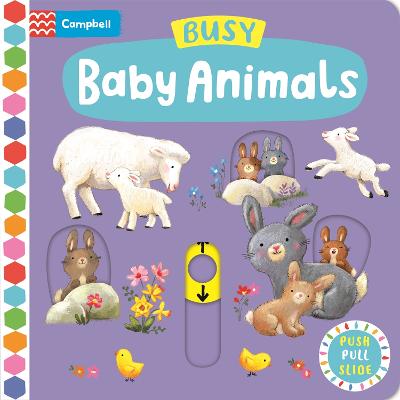 Busy Baby Animals: A Push, Pull, Slide Book - Jatkowska, Ag