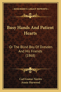 Busy Hands and Patient Hearts: Or the Blind Boy of Dresden and His Friends (1868)