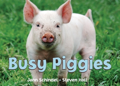 Busy Piggies - Schindel, John, and Holt, Steven (Photographer)