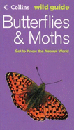 Butterflies & Moths: Get to Know the Natural World - Still, John