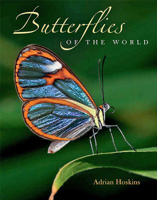 Butterflies of the World - Hoskins, Adrian