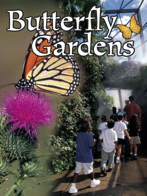 Butterfly Gardens - Gillis, Jennifer