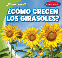?C?mo Crecen Los Girasoles? / How Do Sunflowers Grow?