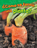 ?C?mo Se Forma Una Planta?