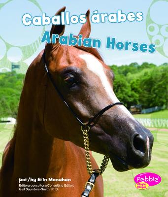 Caballos Arabes/Arabian Horses - Monahan, Erin, and Strictly Spanish LLC (Translated by)