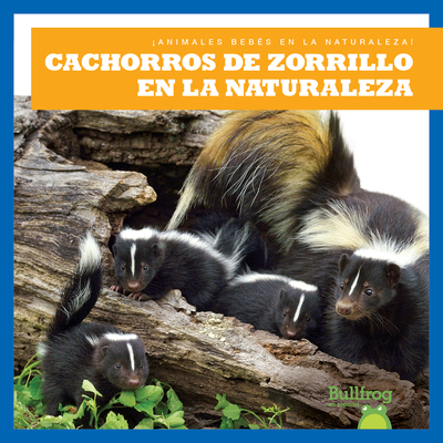 Cachorros de Zorrillo En La Naturaleza (Skunk Kits in the Wild) - Chanez, Katie