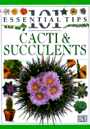 Cacti & Succulents