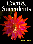 Cacti Succulents - Hecht, Hans