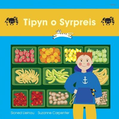 Cadi: Tipyn o Syrpreis - Lleinau, Sioned, and Carpenter, Suzanne (Illustrator)