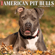 CAL 25 AMERICAN PIT BULL TERRIERS 2025