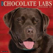 CAL 25 CHOCOLATE LABS 2025 WALL