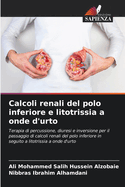 Calcoli renali del polo inferiore e litotrissia a onde d'urto