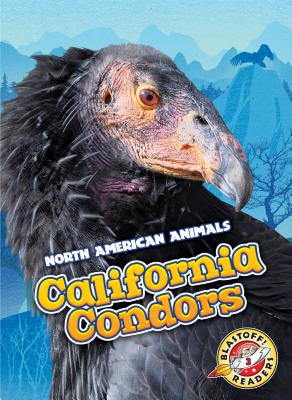 California Condors - Sabelko, Rebecca