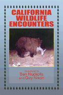 California Wildlife Encounters