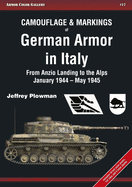 Camouflage & Markings of German Armor in Italy: From Anzio Landing to the Alps, January 1944 - May 1945
