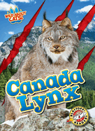 Canada Lynx