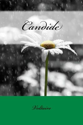 Candide - Voltaire, and Smollett, Tobias (Translated by), and Sir Angels (Editor)