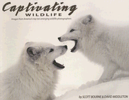 Captivating Wildlife: Images from America's Top Ten Emerging Wildlife Photographers