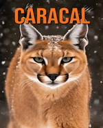 Caracal: la guida essenziale a questo fantastico animale con foto straordinarie