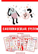 Cardiovascular System Study Guide