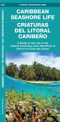 Caribbean Seashore Life (Criaturas del Litoral Caribeno): A Guide to the Life in the Littoral Zone (Bilingual) - Leung, Raymond (Illustrator), and Waterford Press, and Bauza-Ortega, Jorge (Editor)