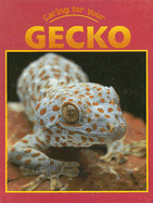 Caring for Your Gecko