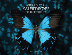 Carried by a Kaleidoscope of Butterflies