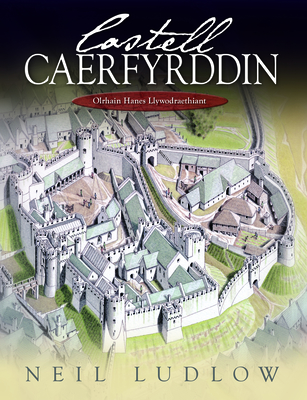 Castell Caerfyrddin: Olrhain Hanes Llywodraethiant - Ludlow, Neil, and Glyn, Annes (Translated by)