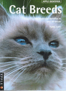 Cat Breeds Identifier - Cutts, Paddy