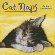 Cat Naps: The Key to Contentment