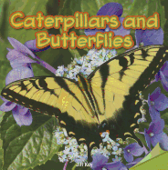 Caterpillars and Butterflies