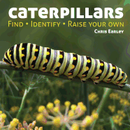 Caterpillars: Find, Identify, Raise Your Own