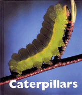 Caterpillars - Merrick, Patrick